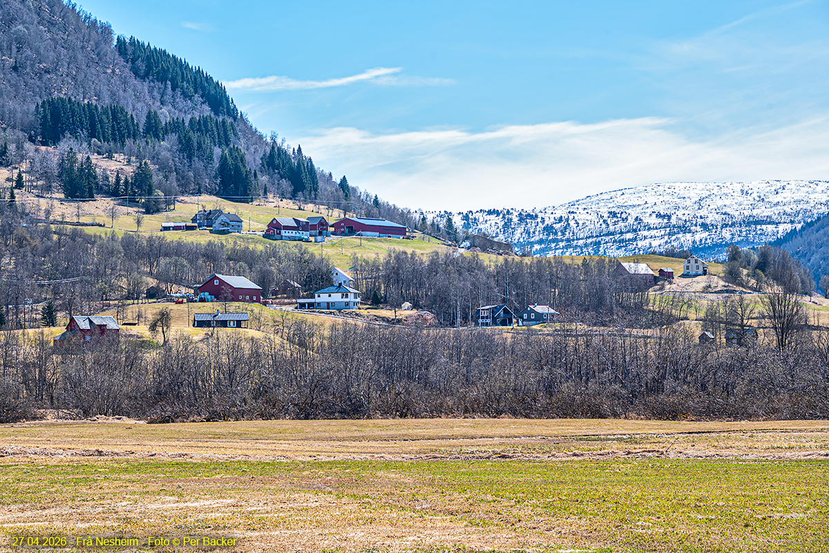 Frå Nesheim