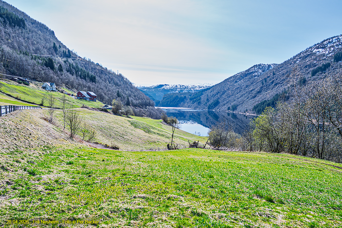 Frå Nesheim
