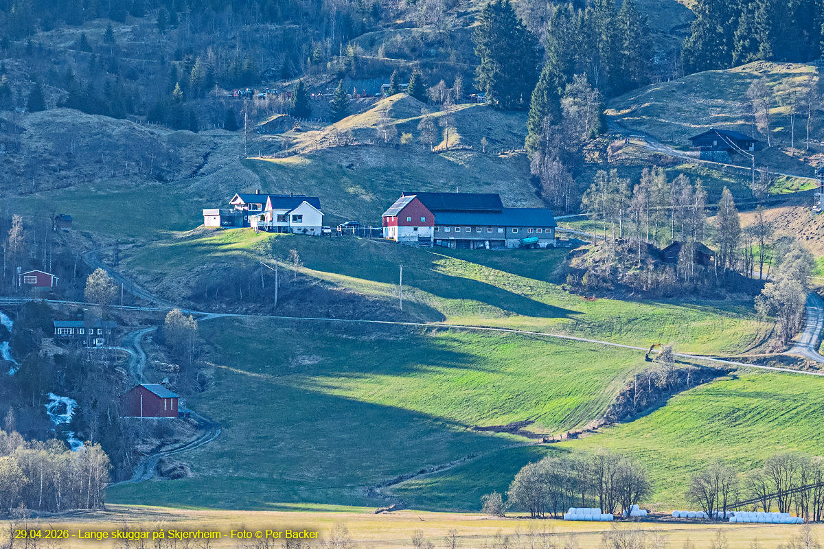 Lange skuggar på Skjervheim