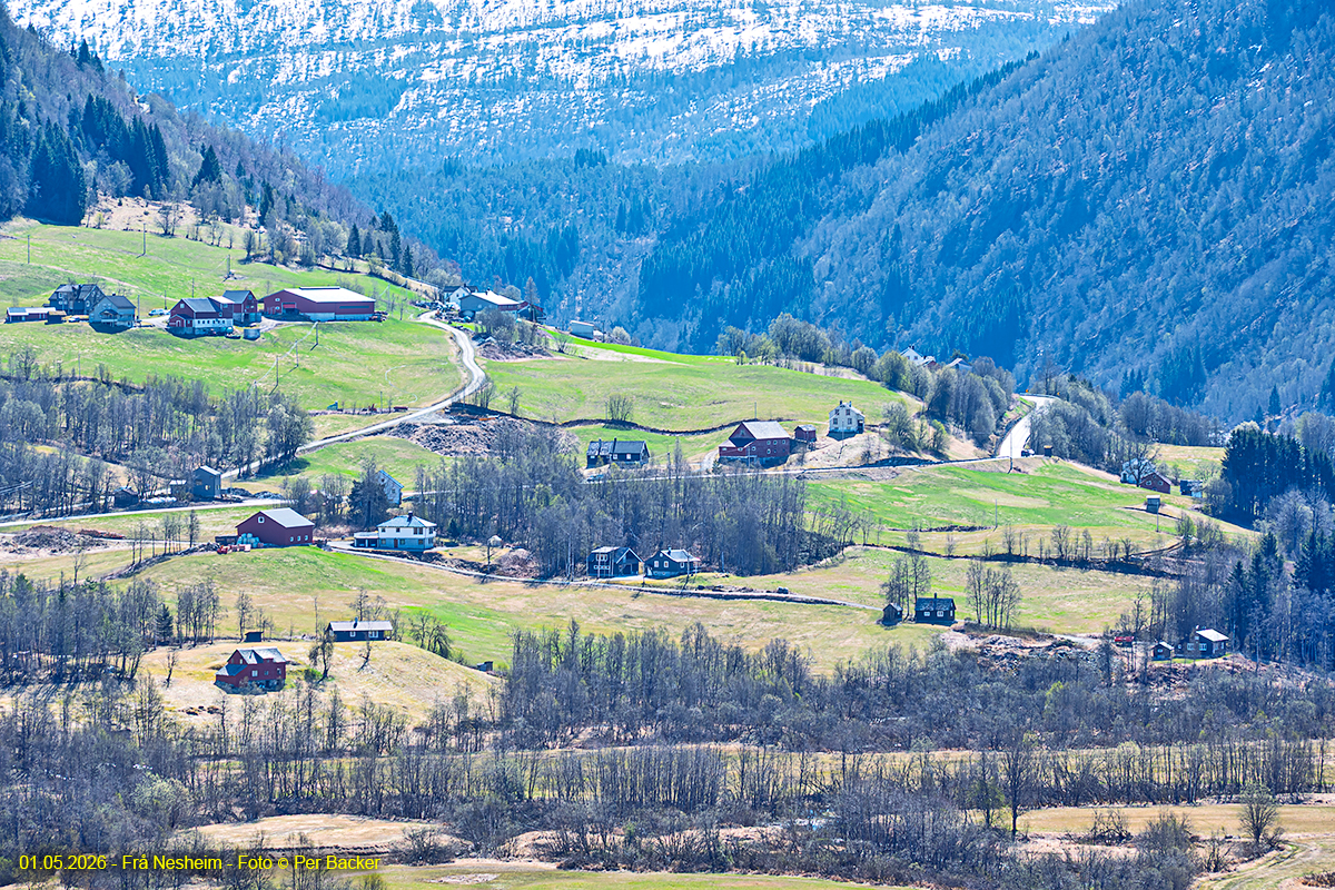 Frå Nesheim
