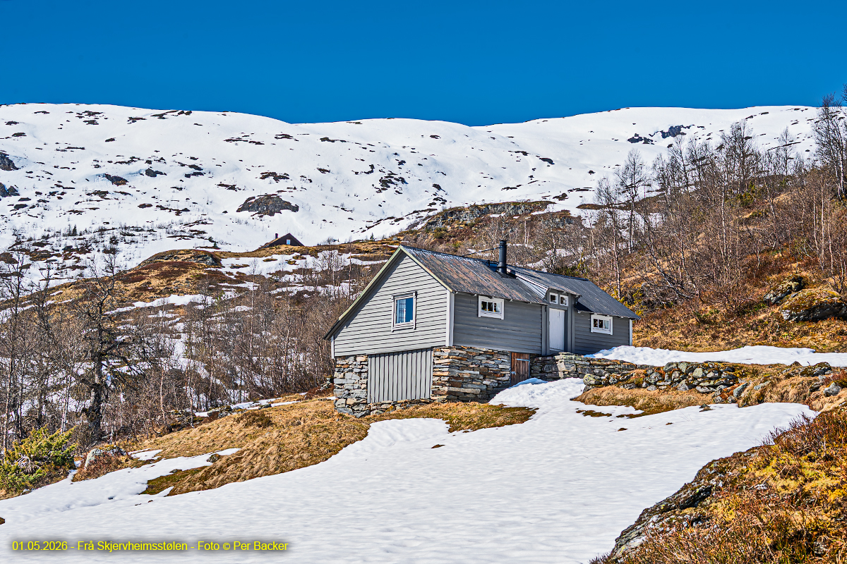 Frå Skjervheimsstølen