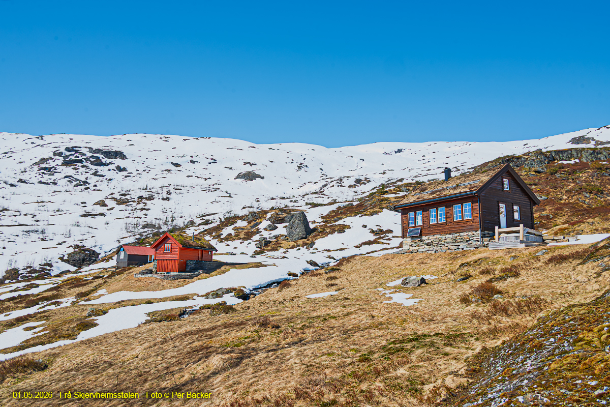 Frå Skjervheimsstølen