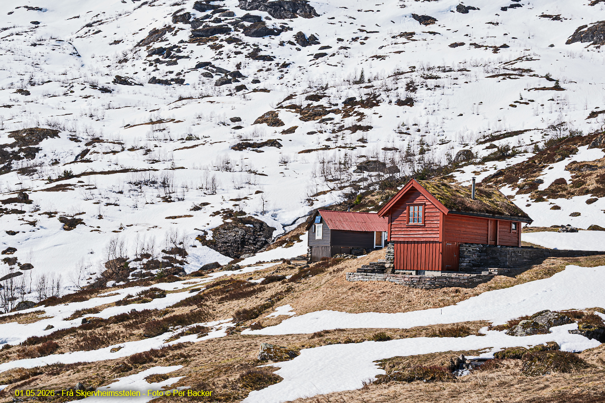 Frå Skjervheimsstølen