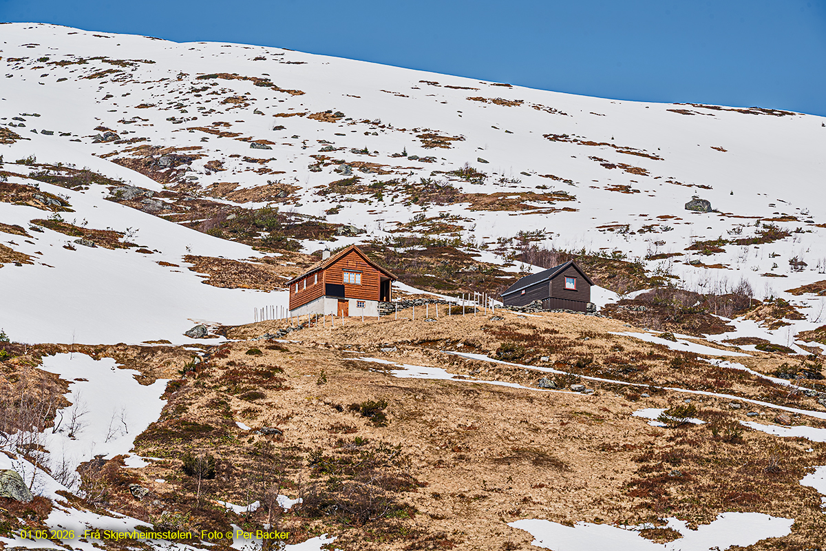 Frå Skjervheimsstølen