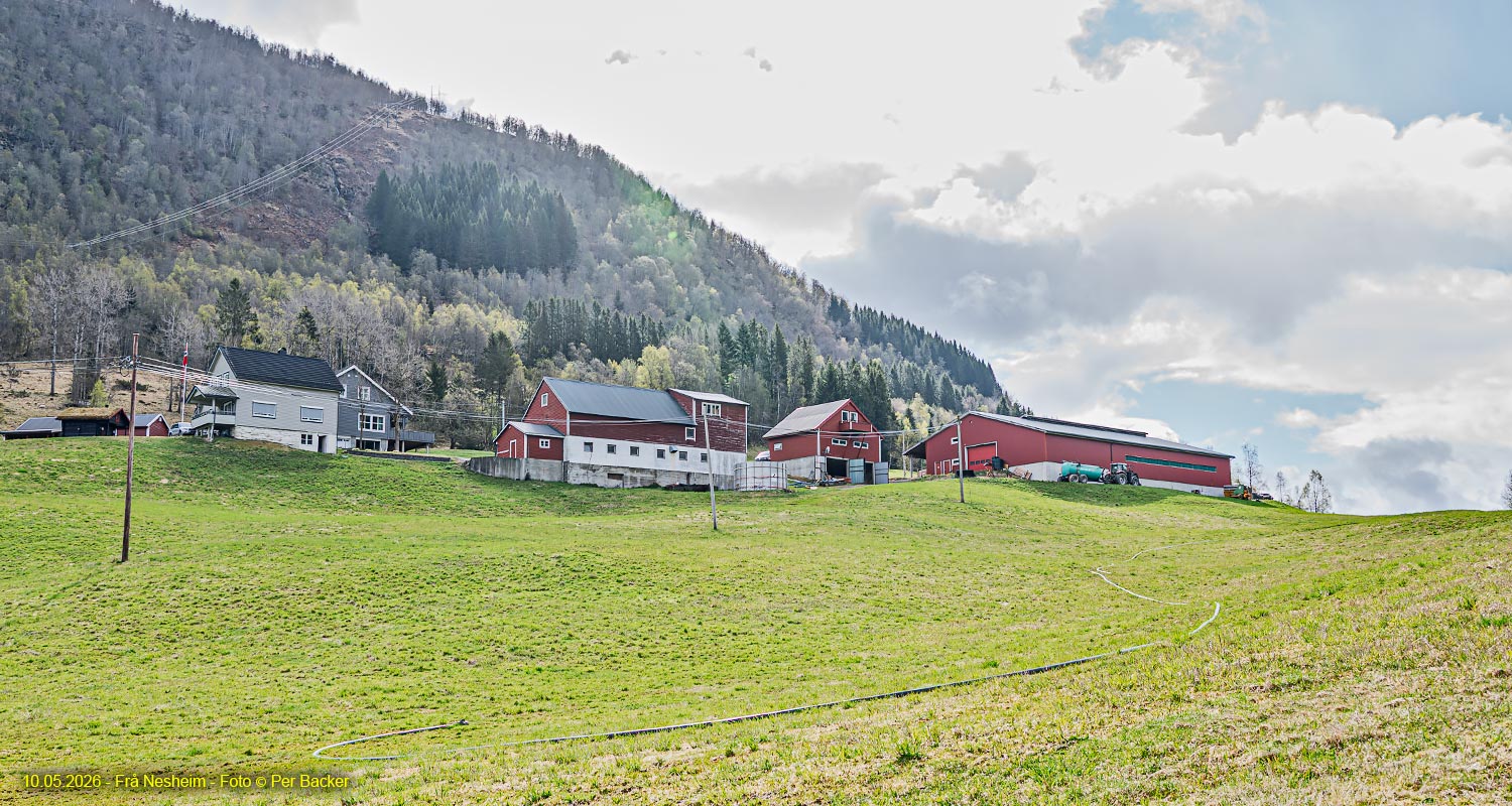 Frå Nesheim