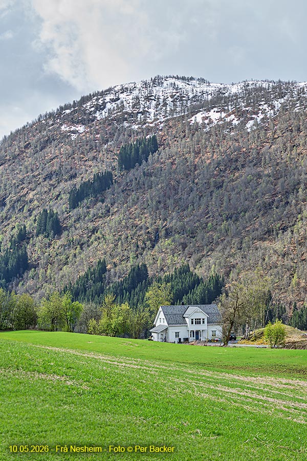 Frå Nesheim