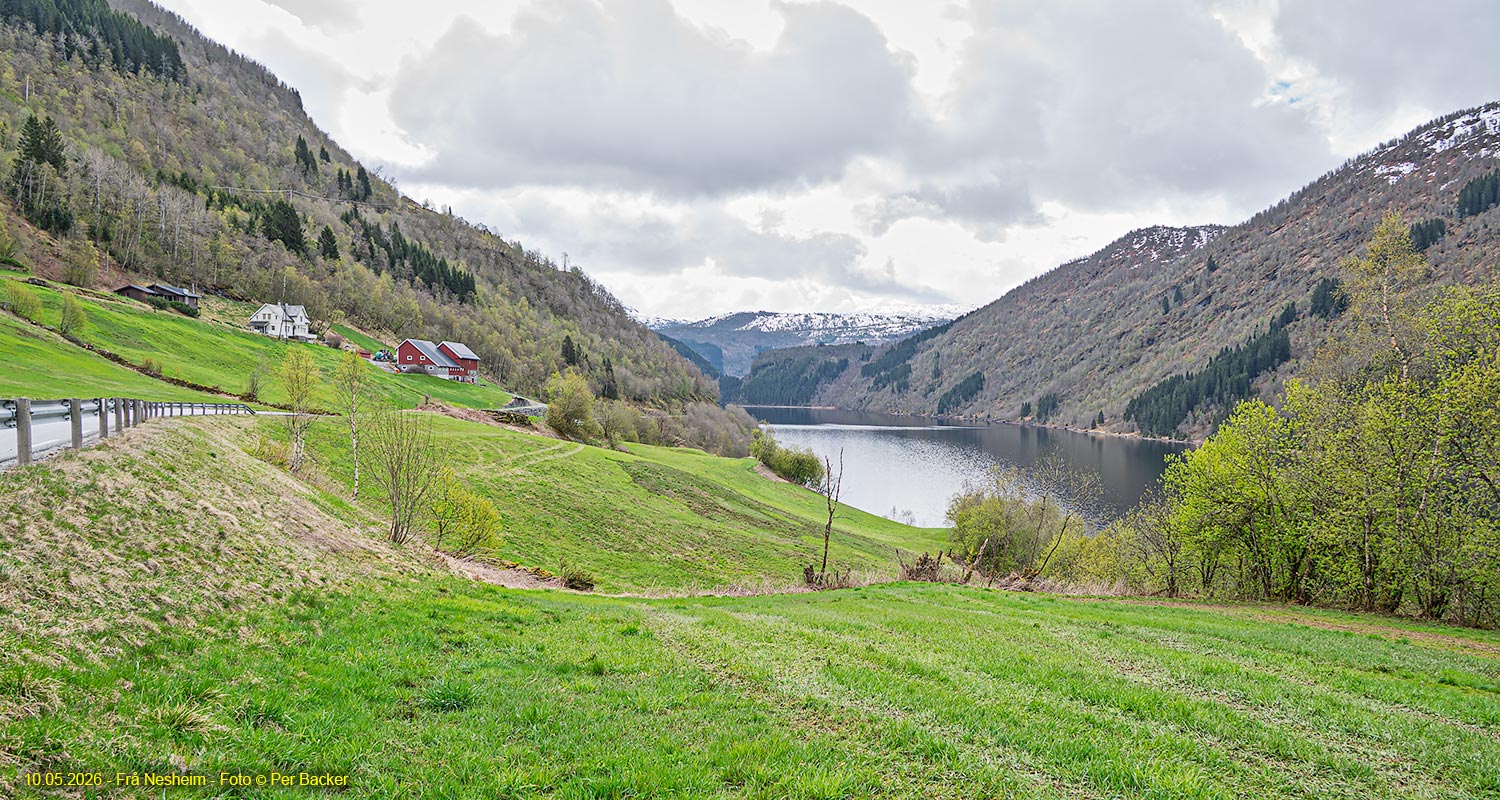 Frå Nesheim