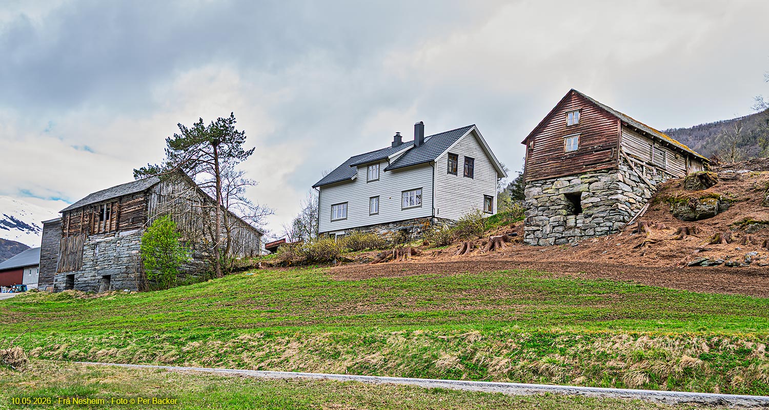 Frå Nesheim