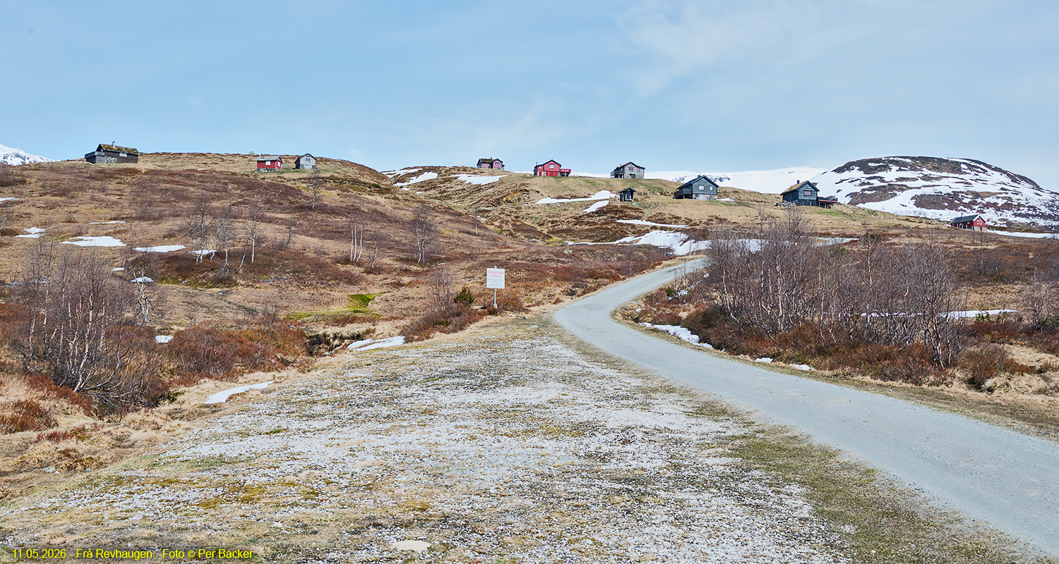 Frå Revhaugen