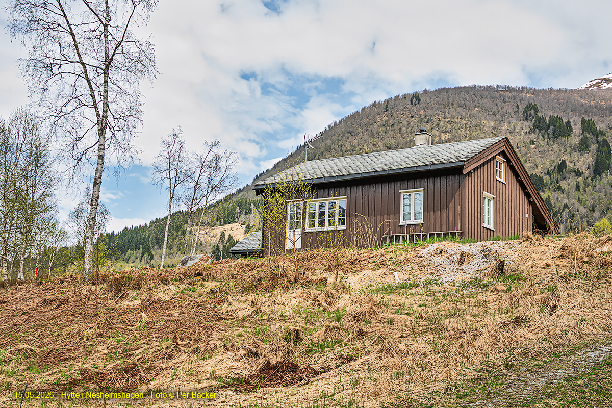 Hytte i Nesheimshagen