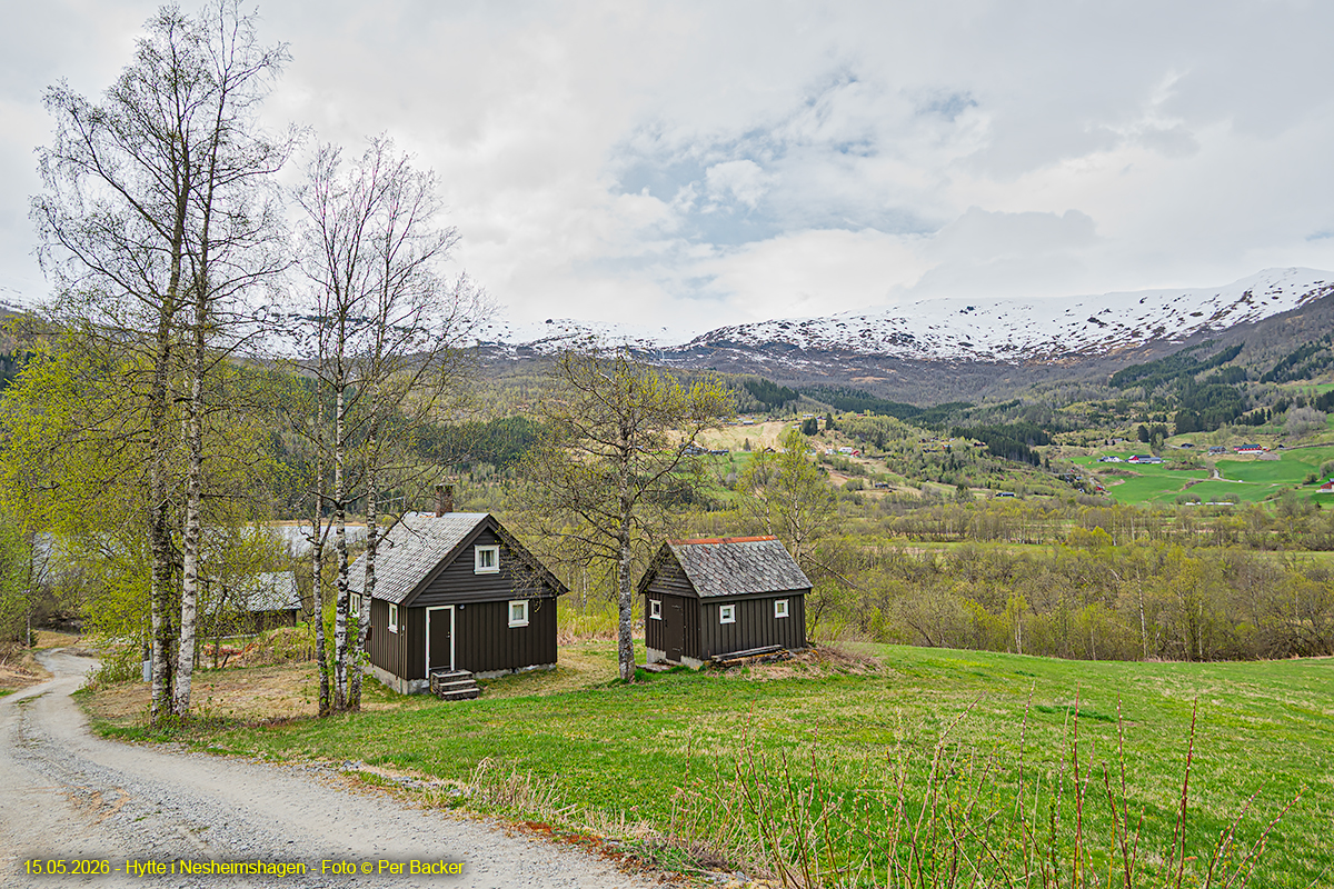 Hytte i Nesheimshagen
