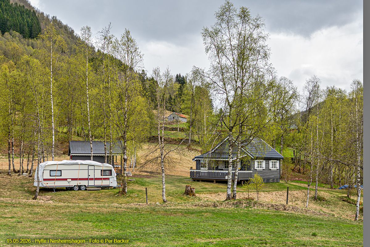 Hytte i Nesheimshagen