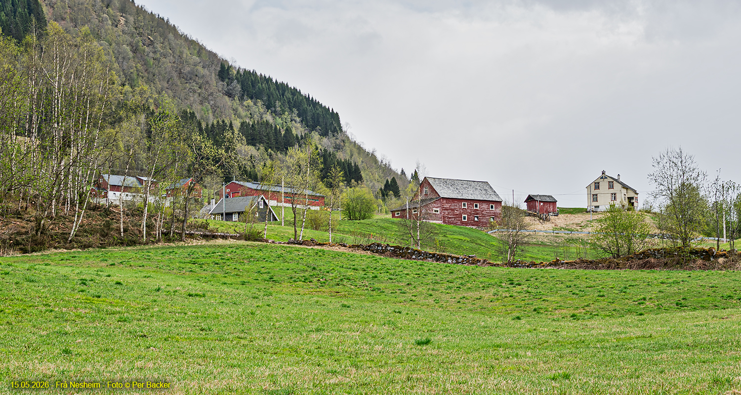 Frå Nesheim