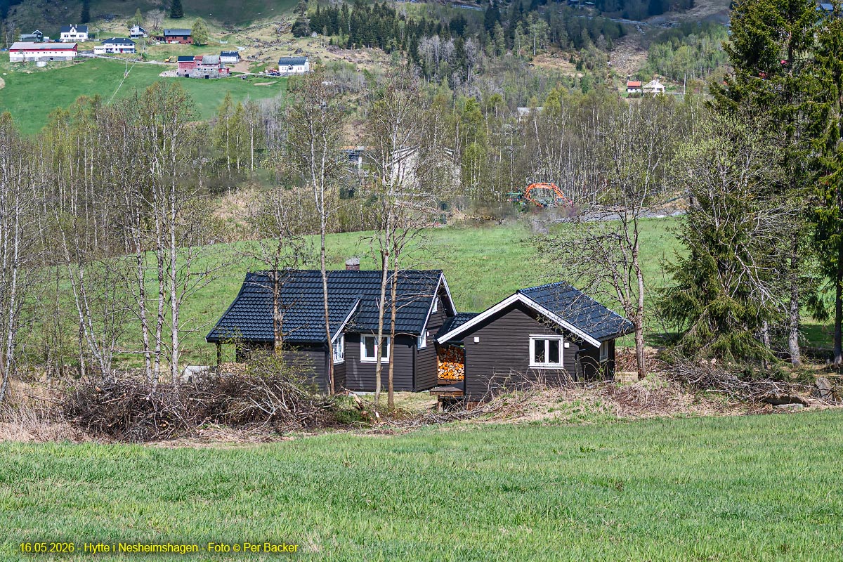 Hytte i Nesheimshagen