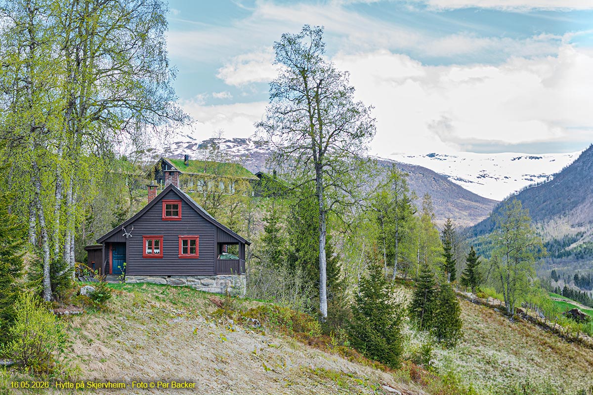 Hytte på Skjervheim