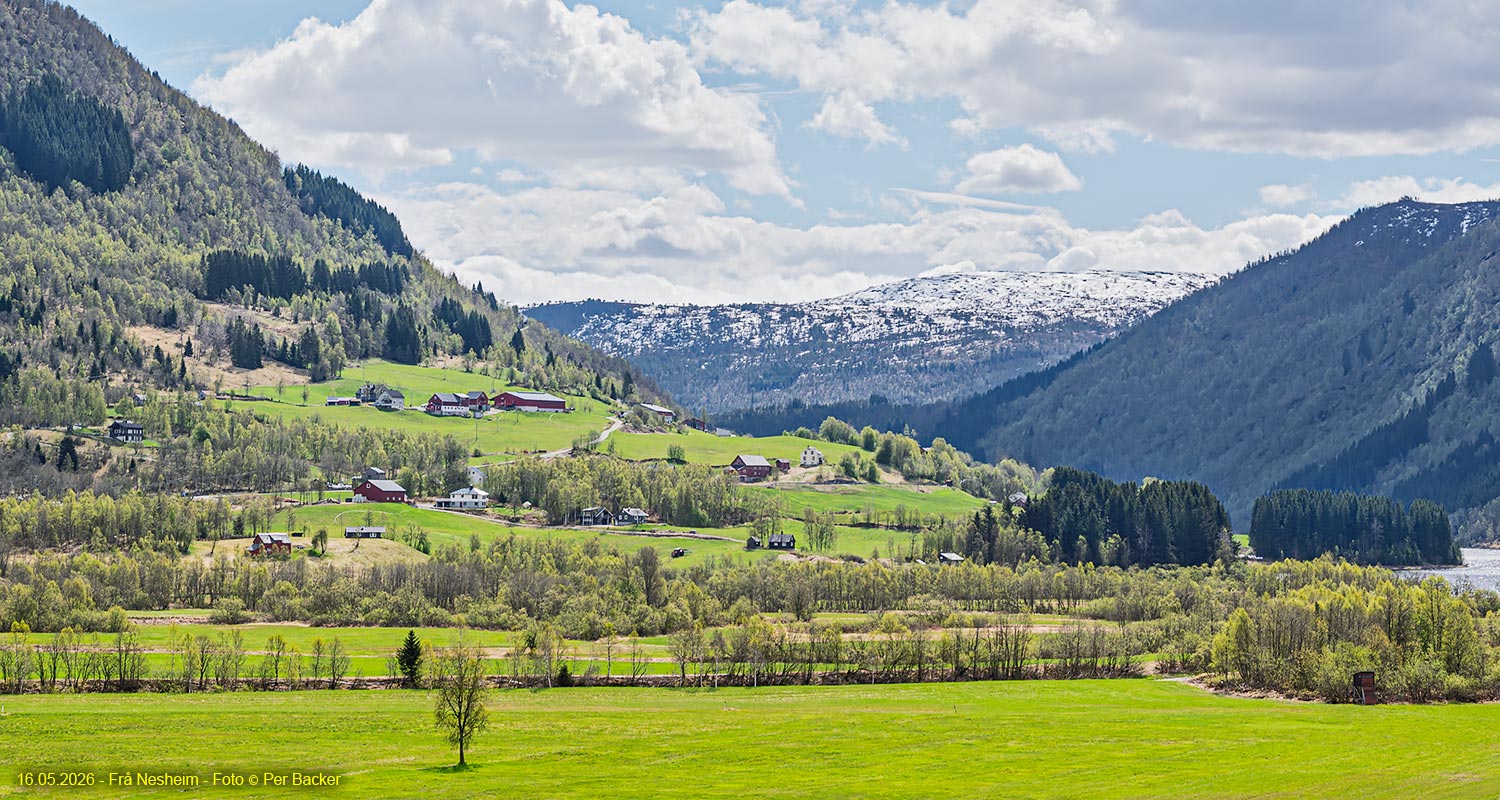 Frå Nesheim