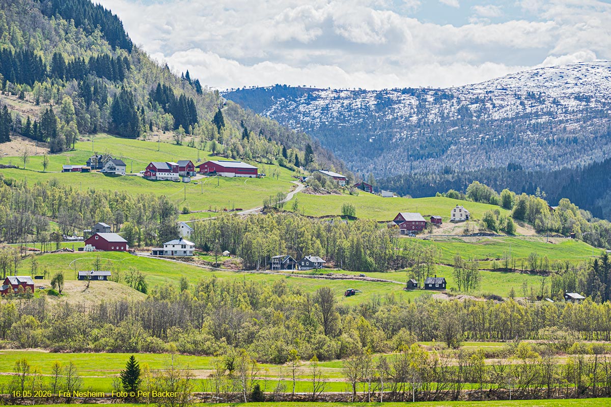 Frå Nesheim