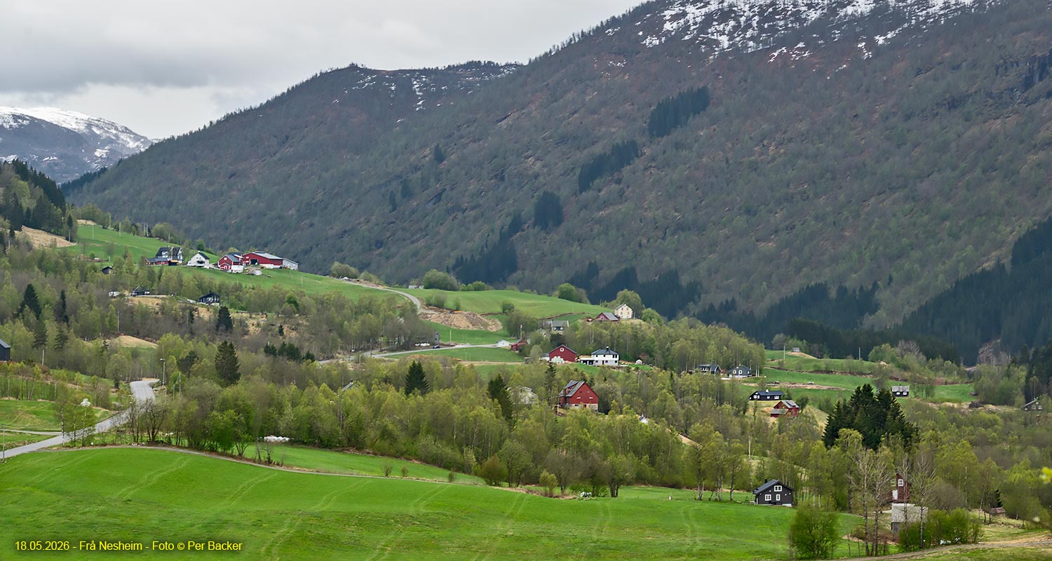 Frå Nesheim