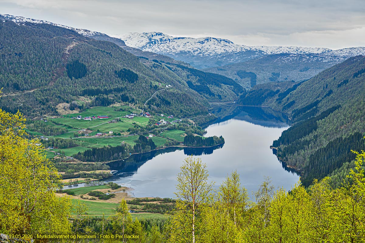 Myrkdalsvatnt og Nesheim