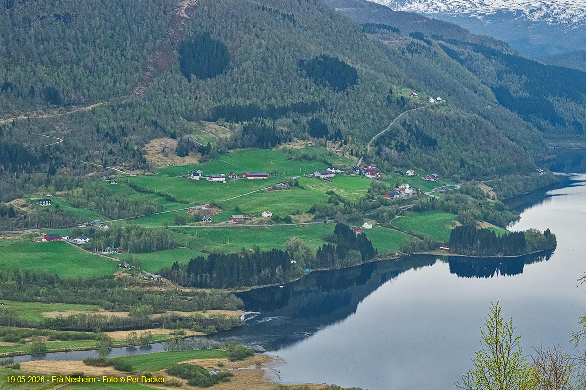 Frå Nesheim