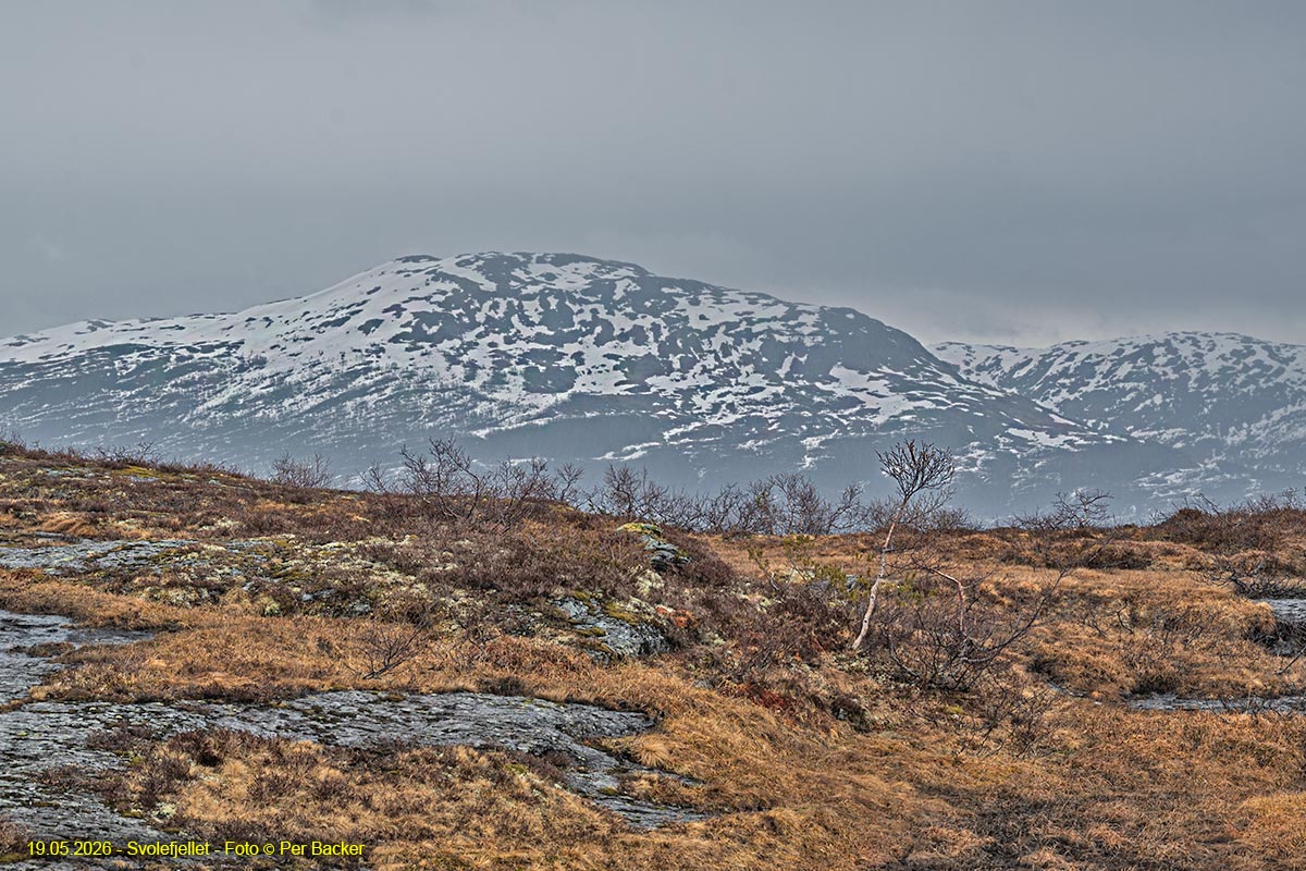 Svolefjellet
