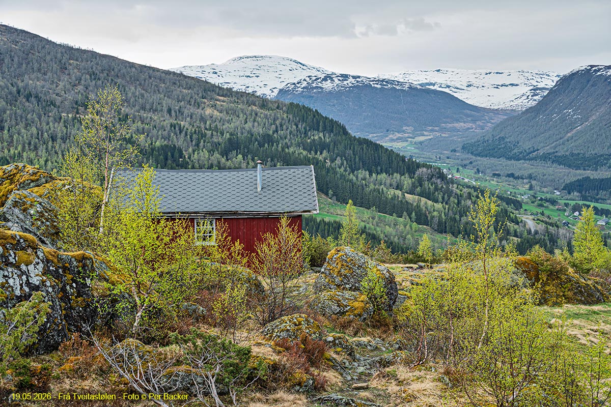 Tveitastølen