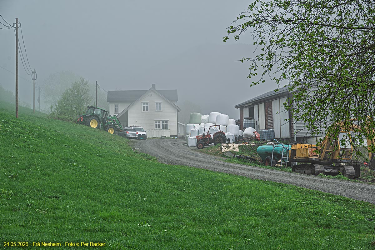 Frå Nesheim