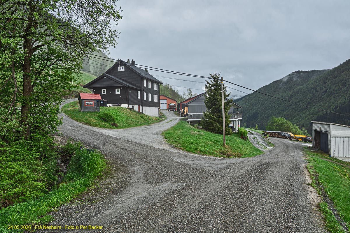 Frå Nesheim