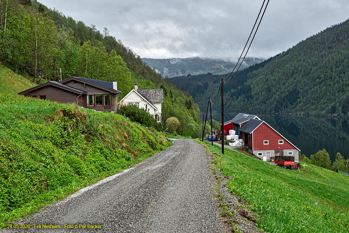 Frå Nesheim