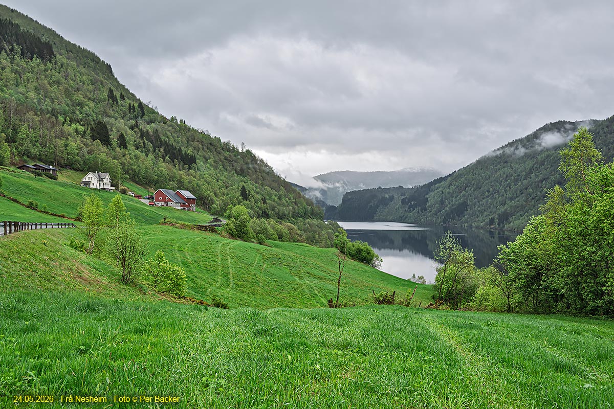 Frå Nesheim