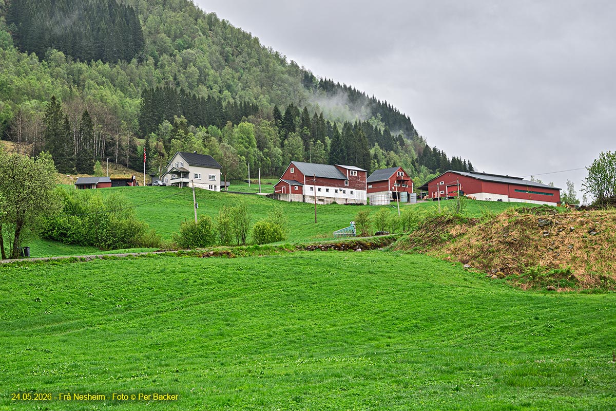Frå Nesheim