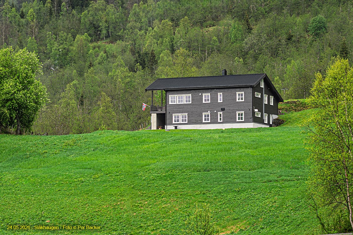 Slåkhaugen