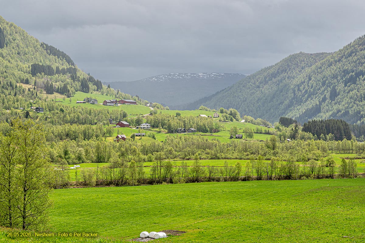 Frå Nesheim