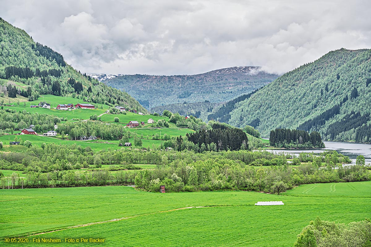 Frå Nesheim