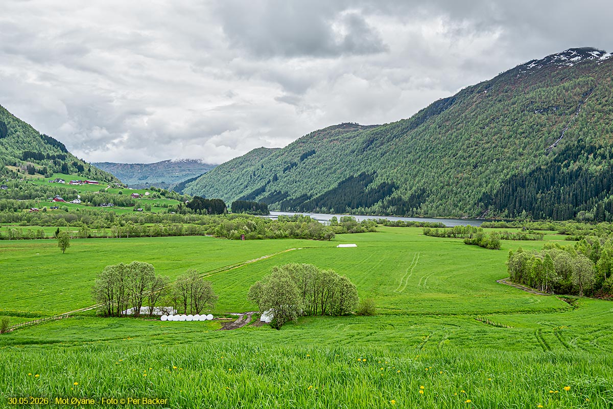 Mot Øyane