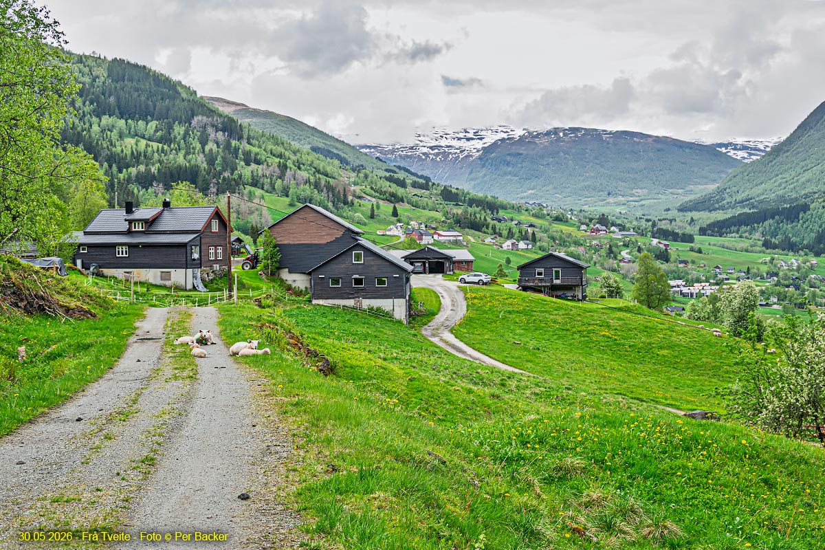 Frå Tveite