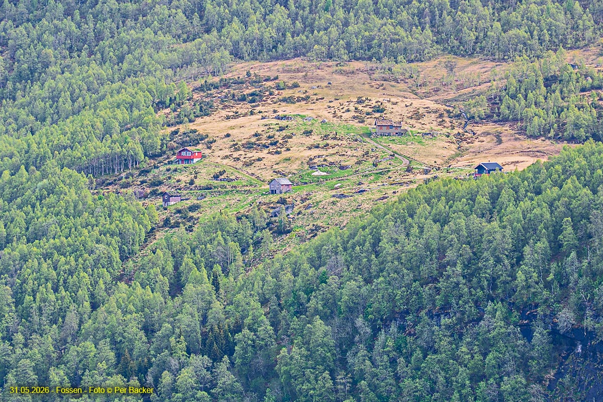 Fossen