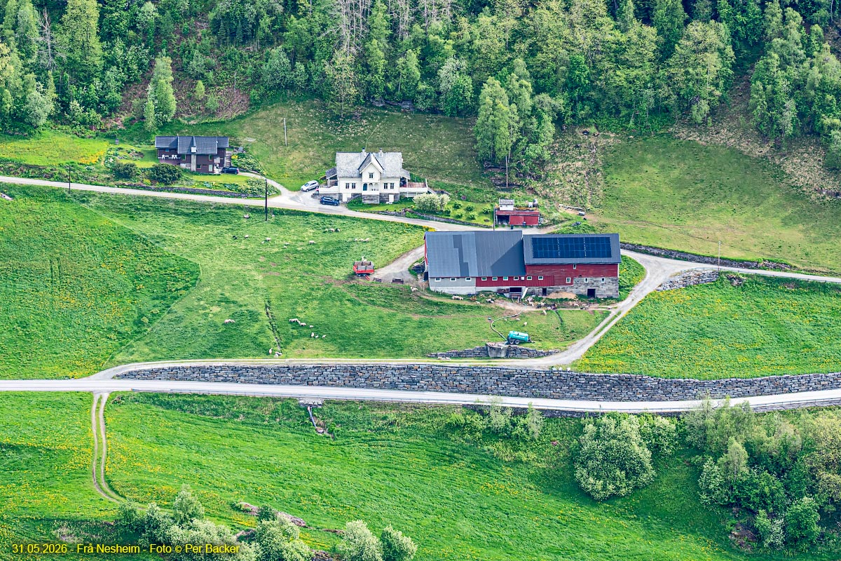Frå Nesheim