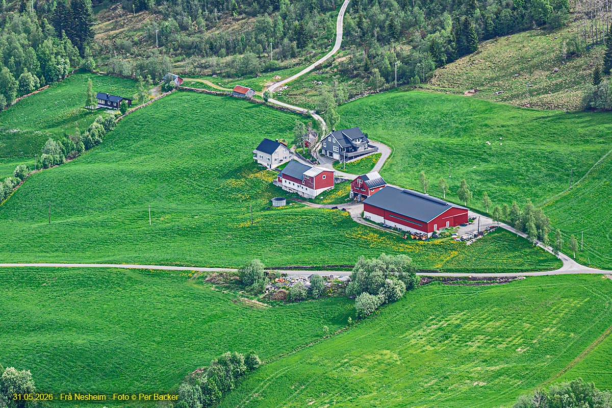 Frå Nesheim