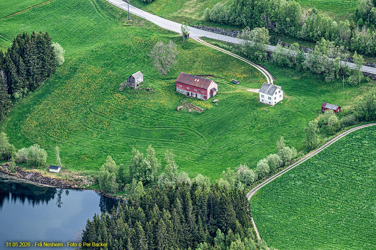 Frå Nesheim