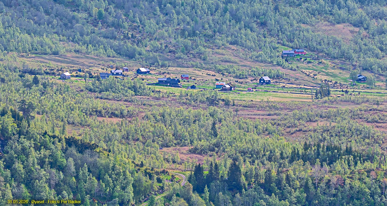 Øyaset