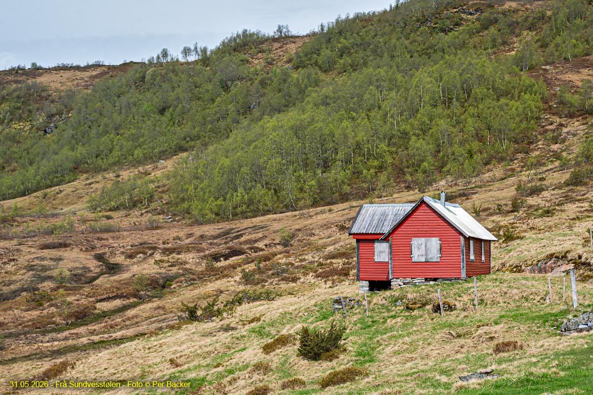 Frå Sundvesstølen