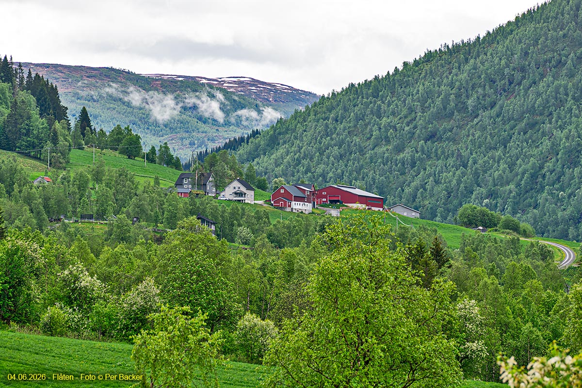 Flåten