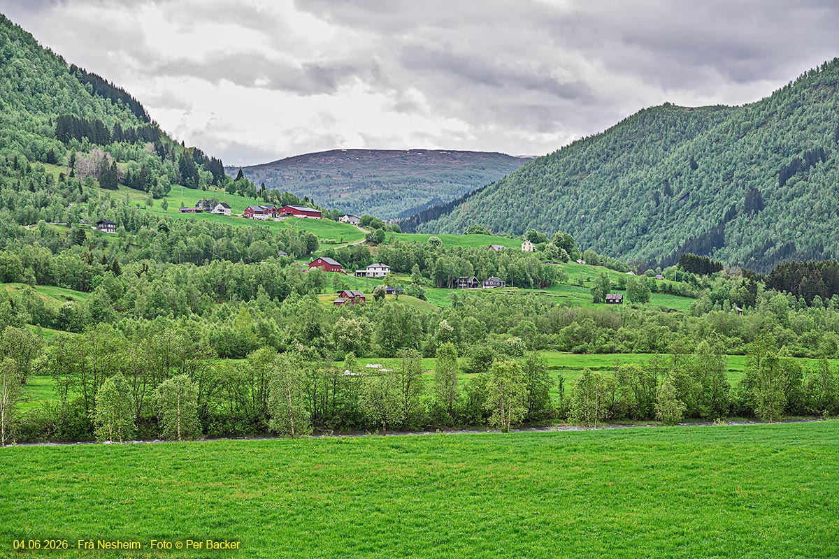 Frå Nesheim