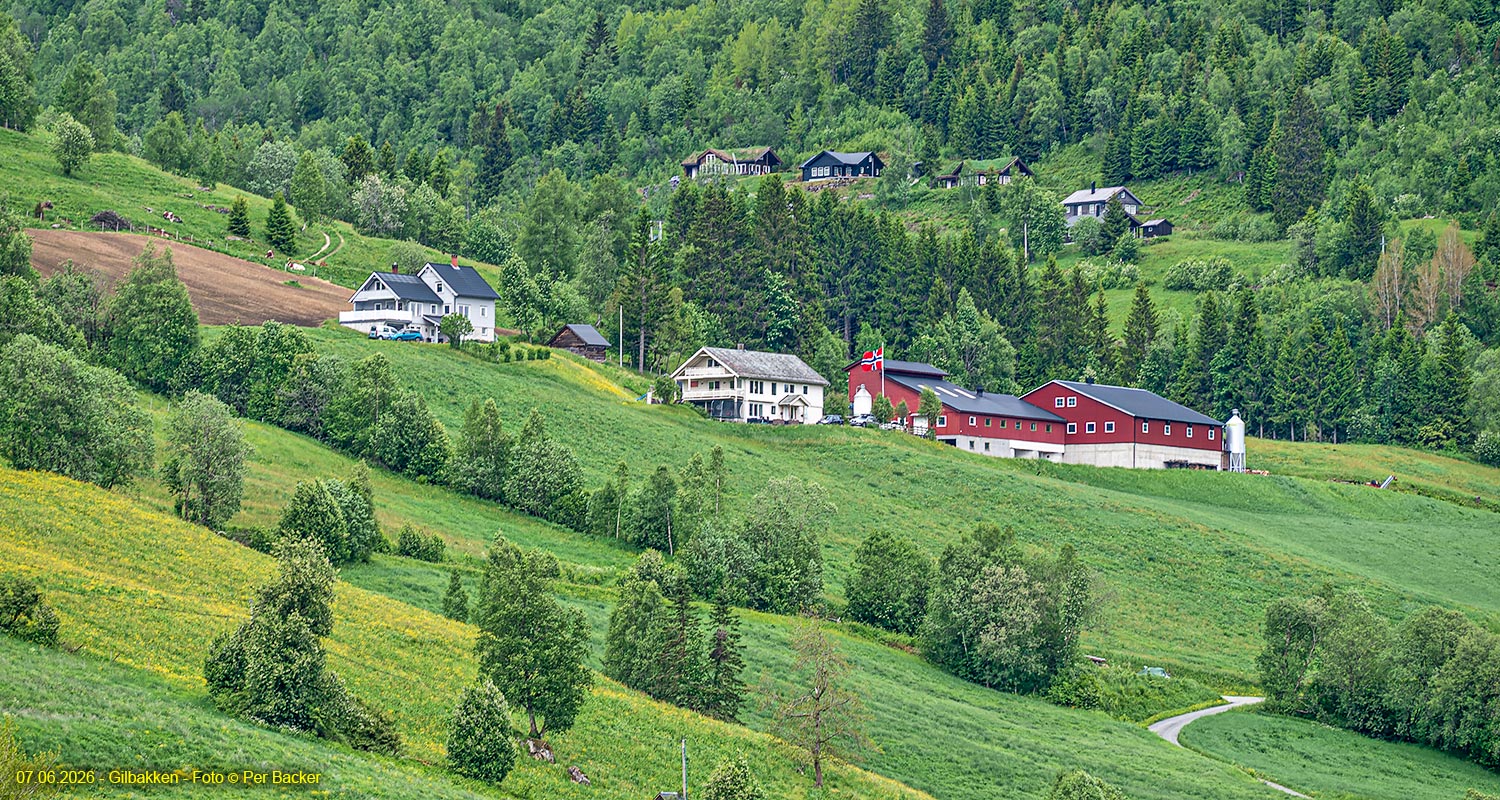 Gilbakken