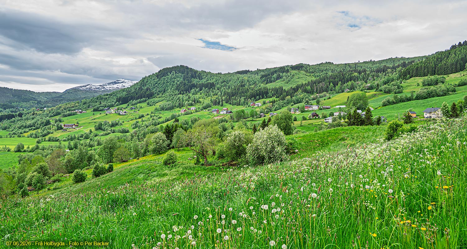 Frå Holbygda