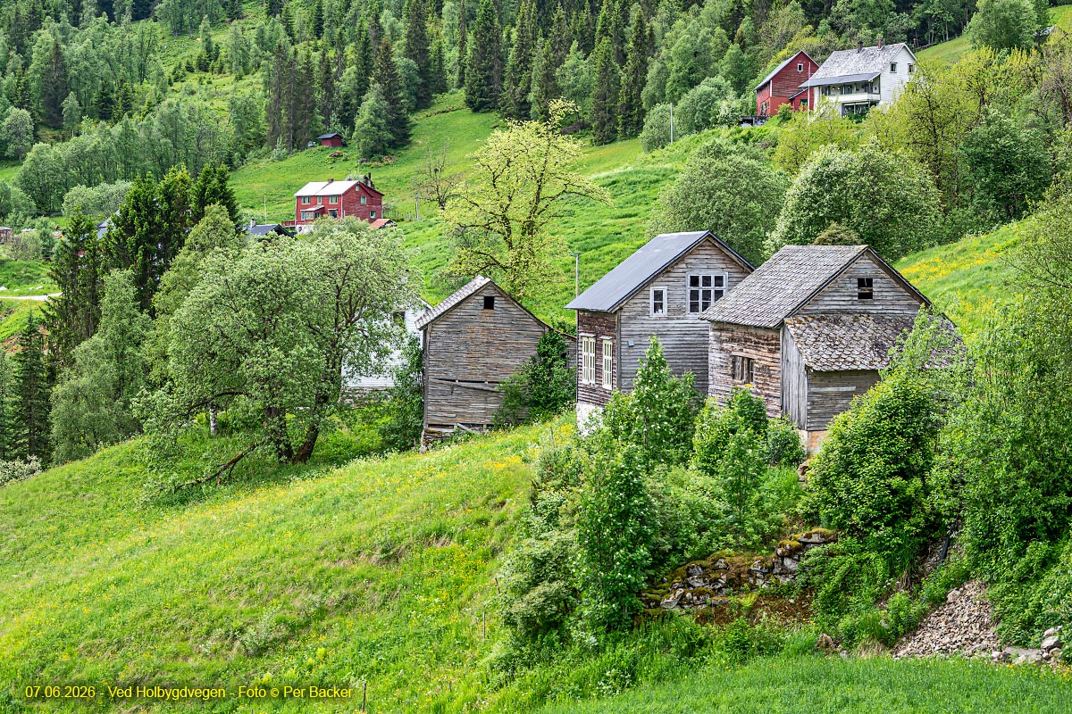 Ved Holbygdvegen