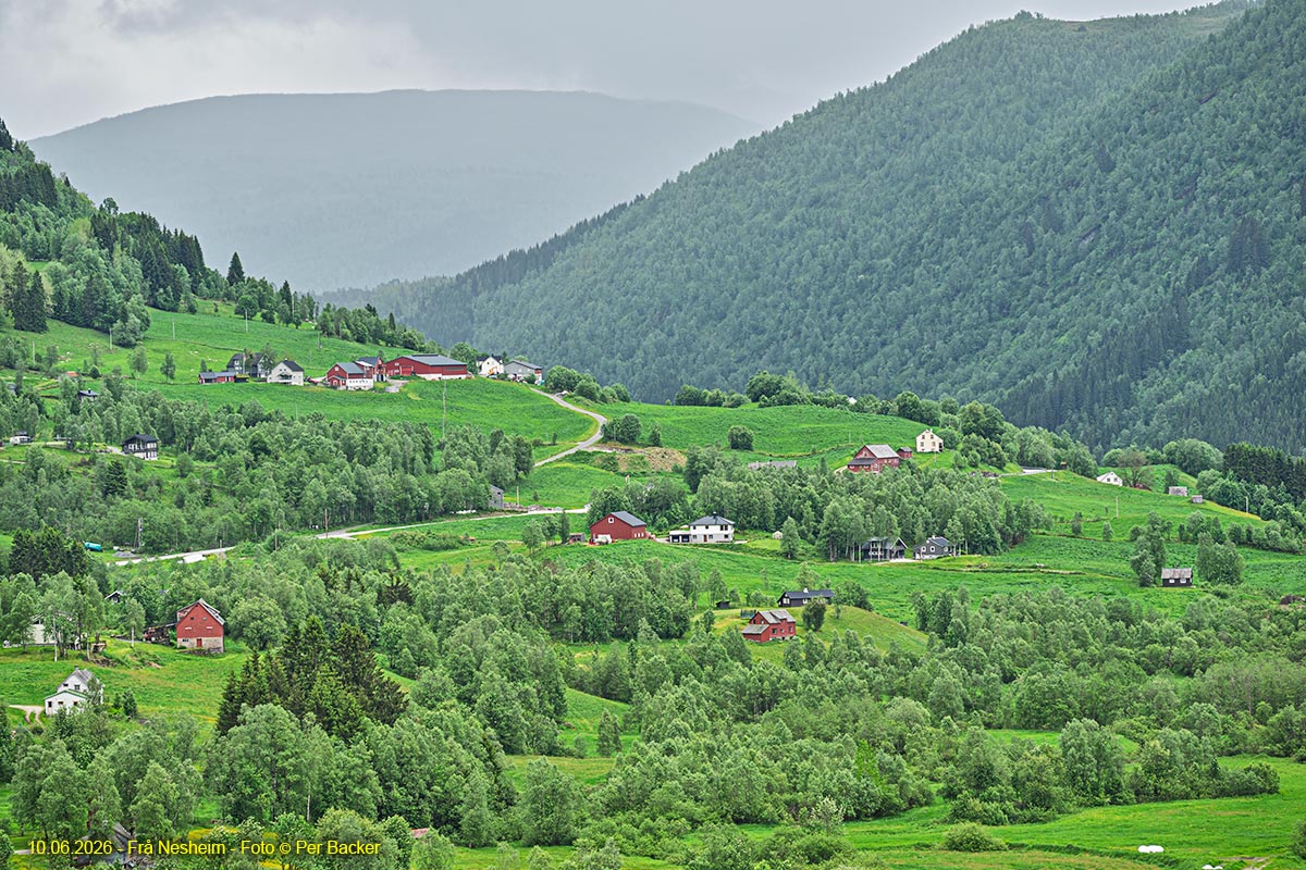 Frå Nesheim