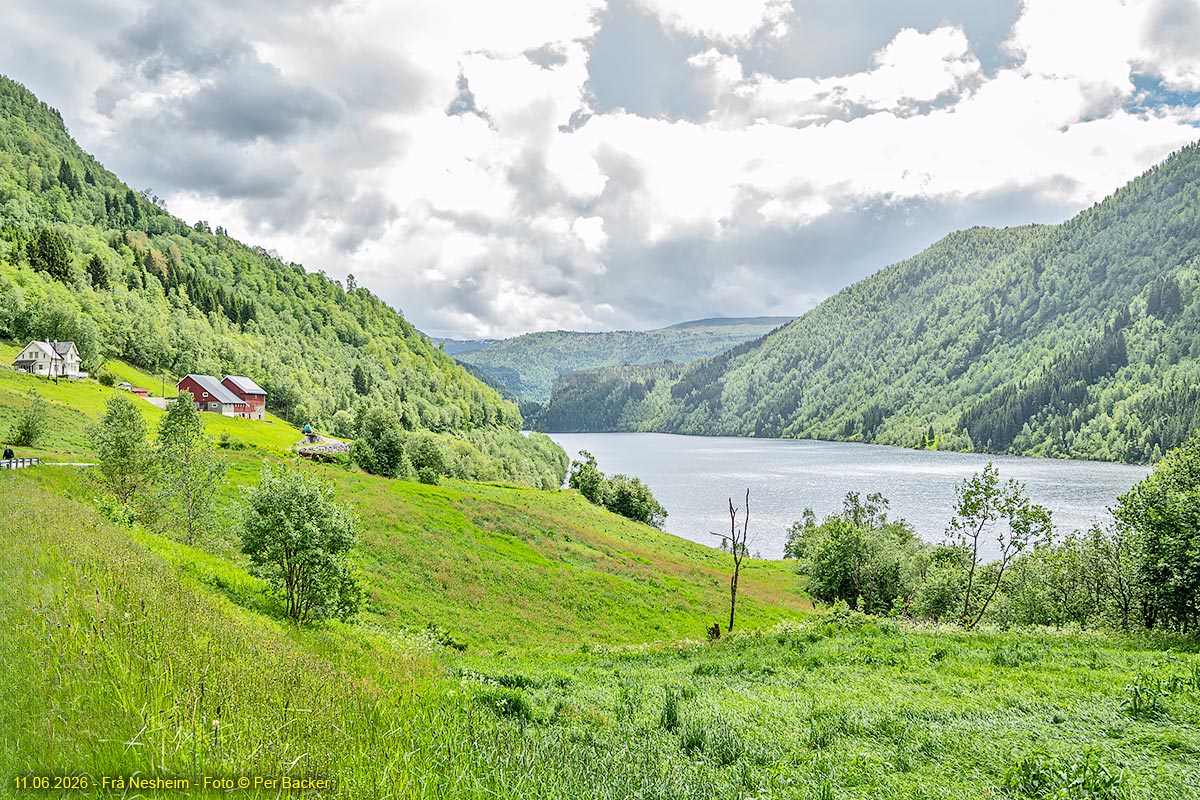 Frå Nesheim