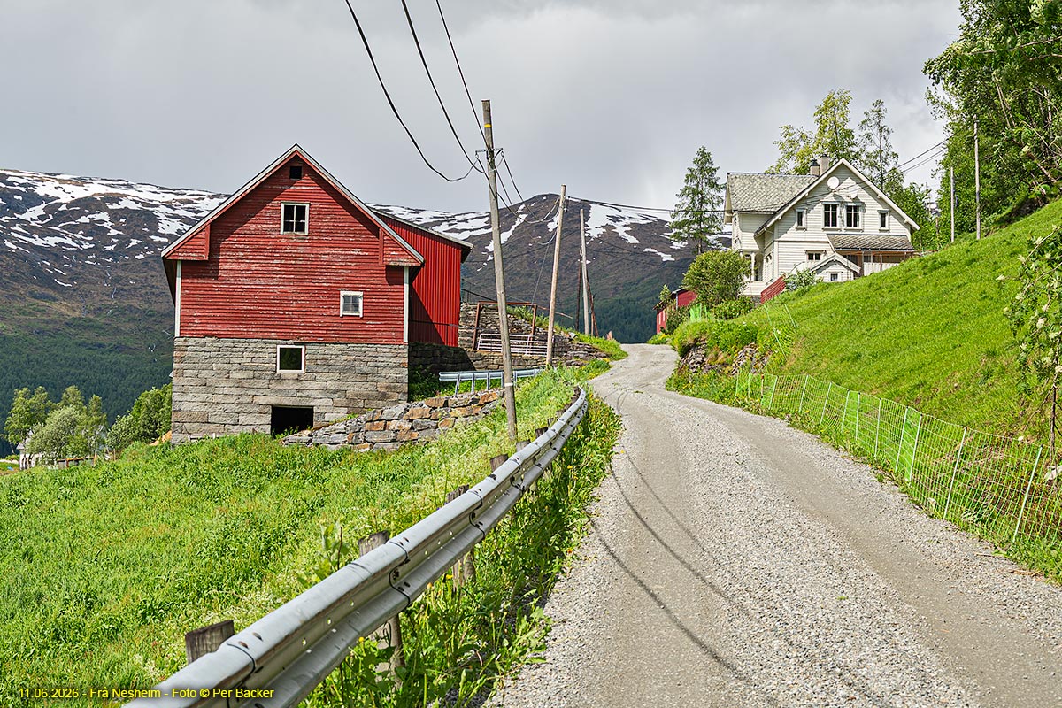 Frå Nesheim